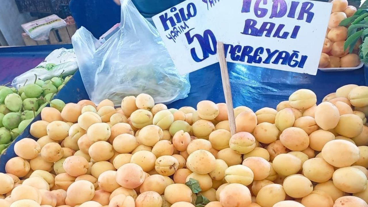Kayısı Fiyat