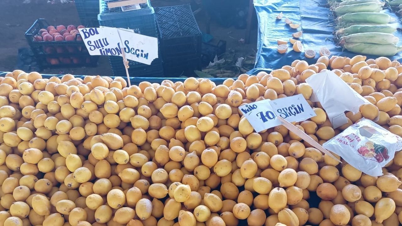Limon Fiyat-2