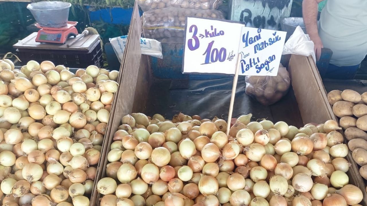 Saoğan Fiyat