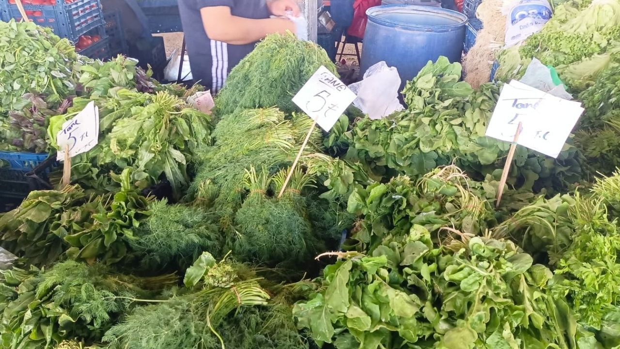 Yeşillik Fiyat