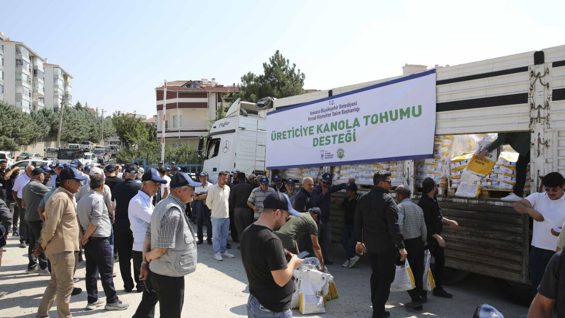 Ankara'da 3 İlçede Yüzde 50 Hibeli Kanola Tohumu Desteği: Hedef 30 Bin Dekar Ekim