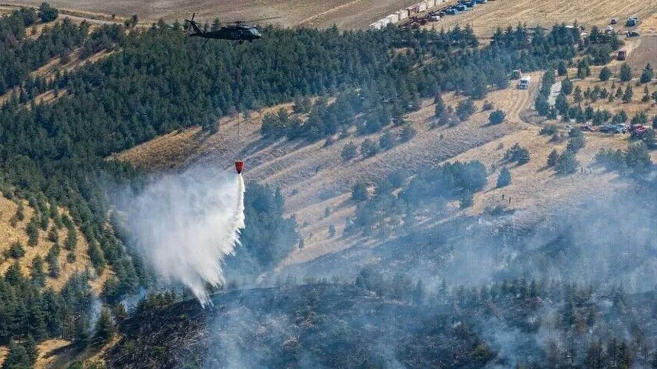 Ankara’da Ormanlık Alanda Yangın Çıktı: Yerleşim Yerleri Boşaltıldı