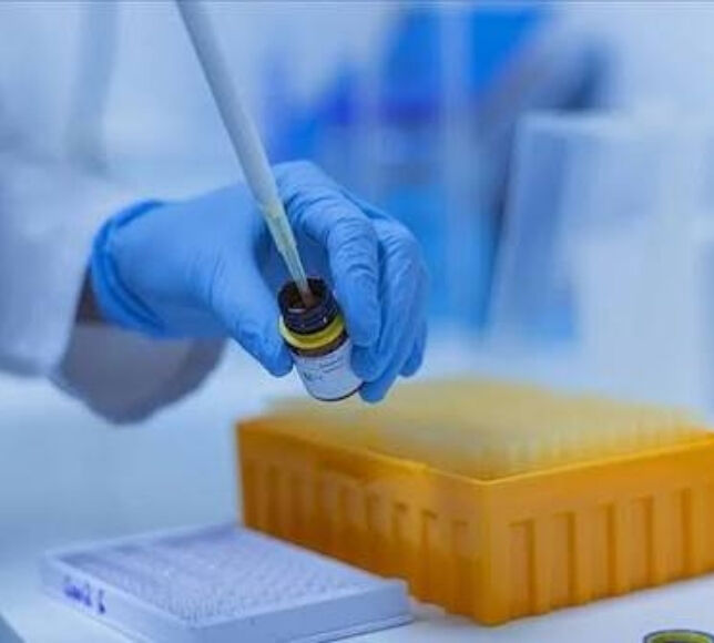 Dünya Bilim Sıralamasında 90 Türk Üniversitesi Yer Aldı