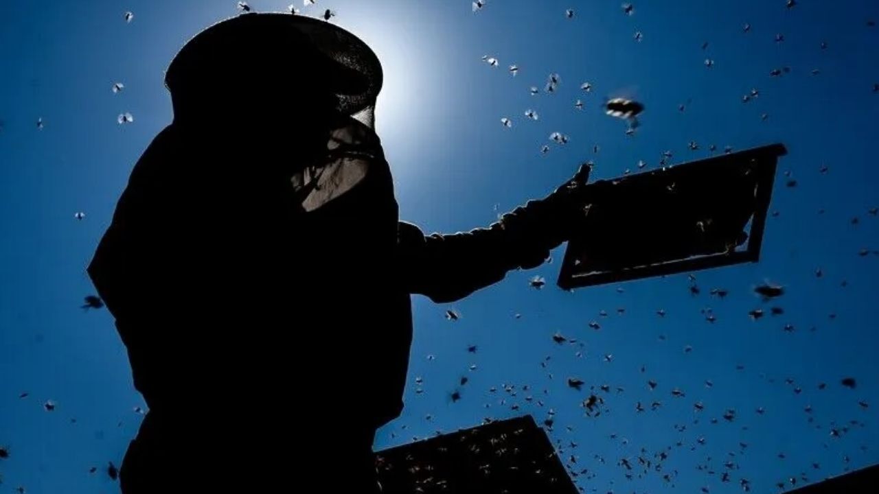 Türkiye'de 2026 Bal Üretimi için 100 Bin Ton Beklentisi