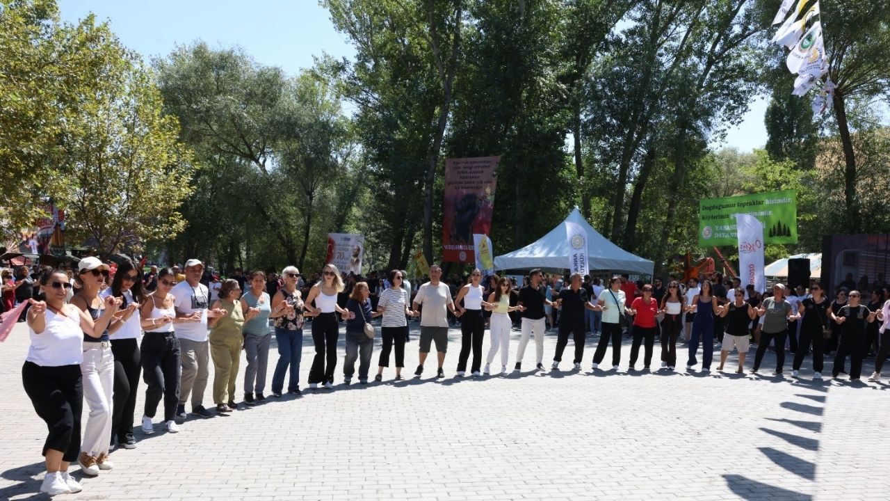 Divriği Pilav Buluşması 2