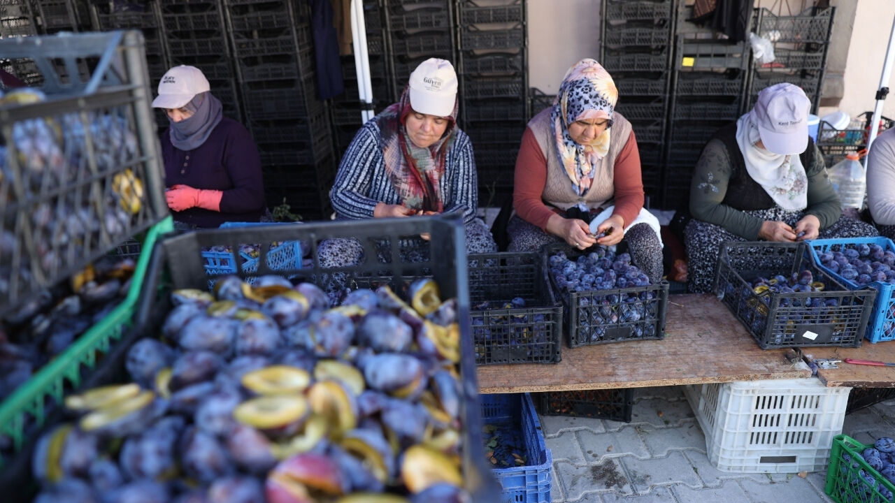 Kapadokya’da Erik Mesaisi: 1500 Ton Ürün Güneşte Kurutuluyor