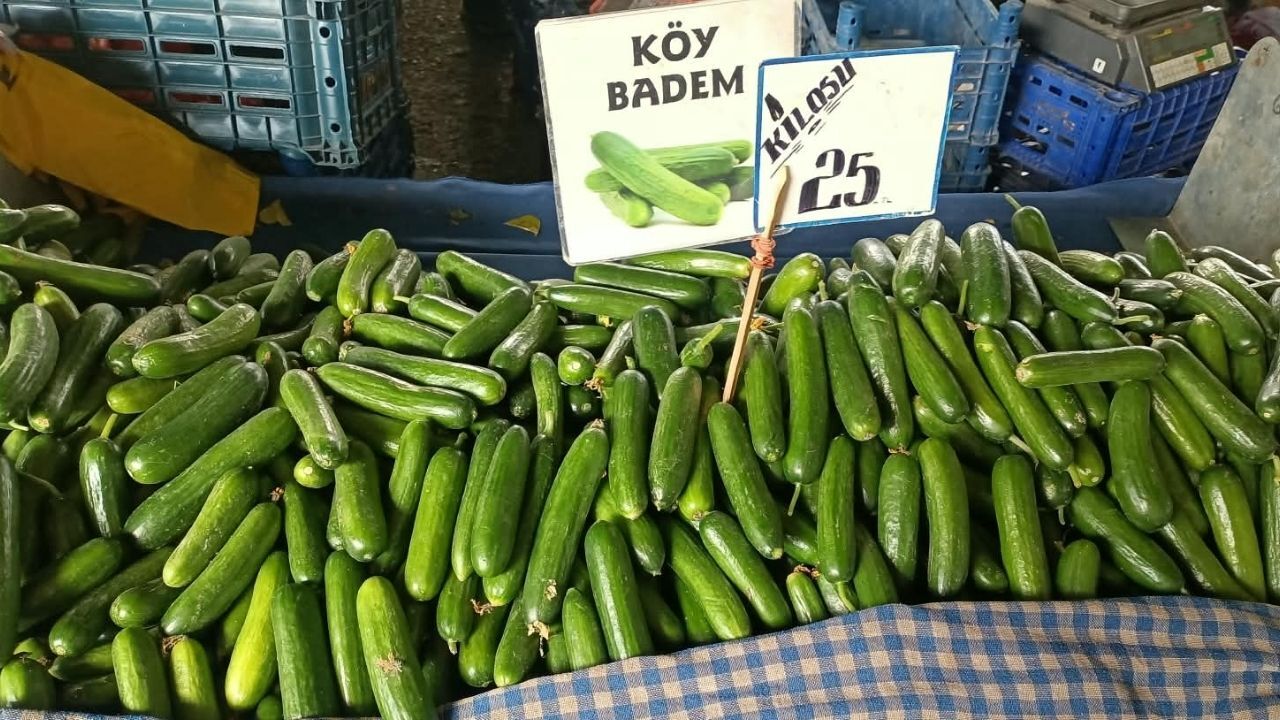 Karapürçek Pazarı Salatalık