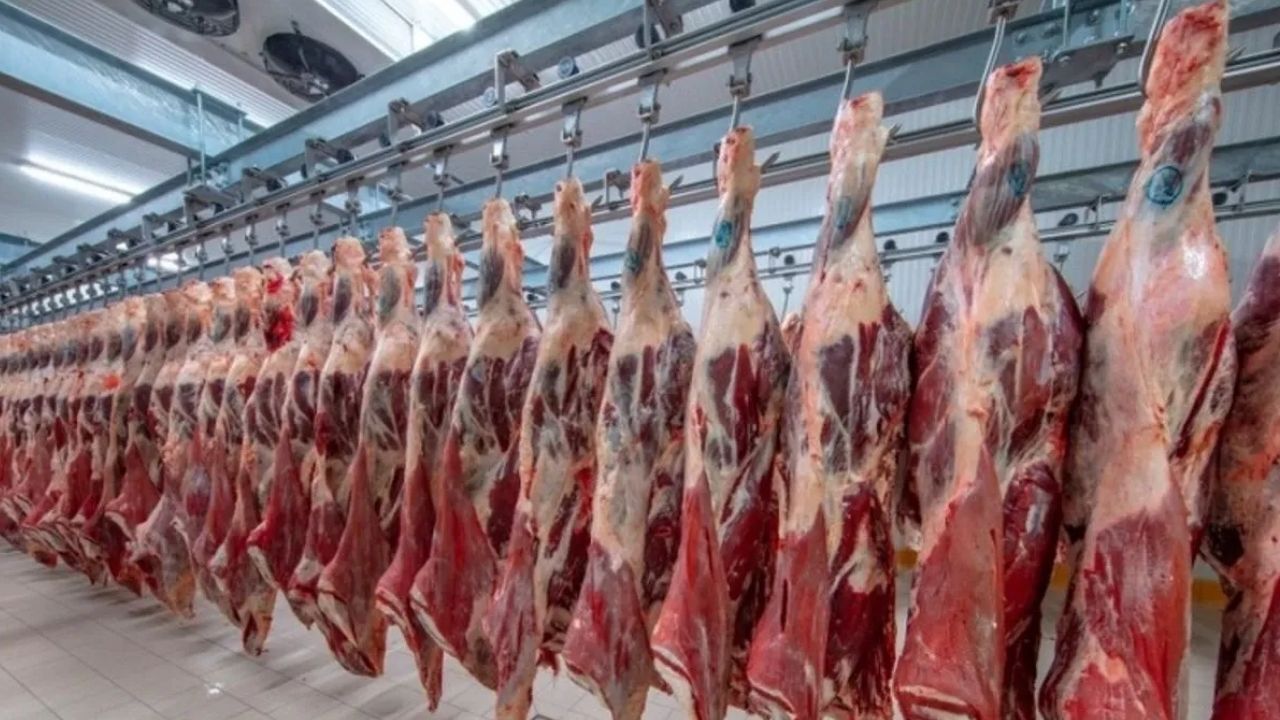 Ankara'da Halk Sağlığı Tehdit Eden 104 Ton Sahte Et ve Et Ürünü Ele Geçirildi