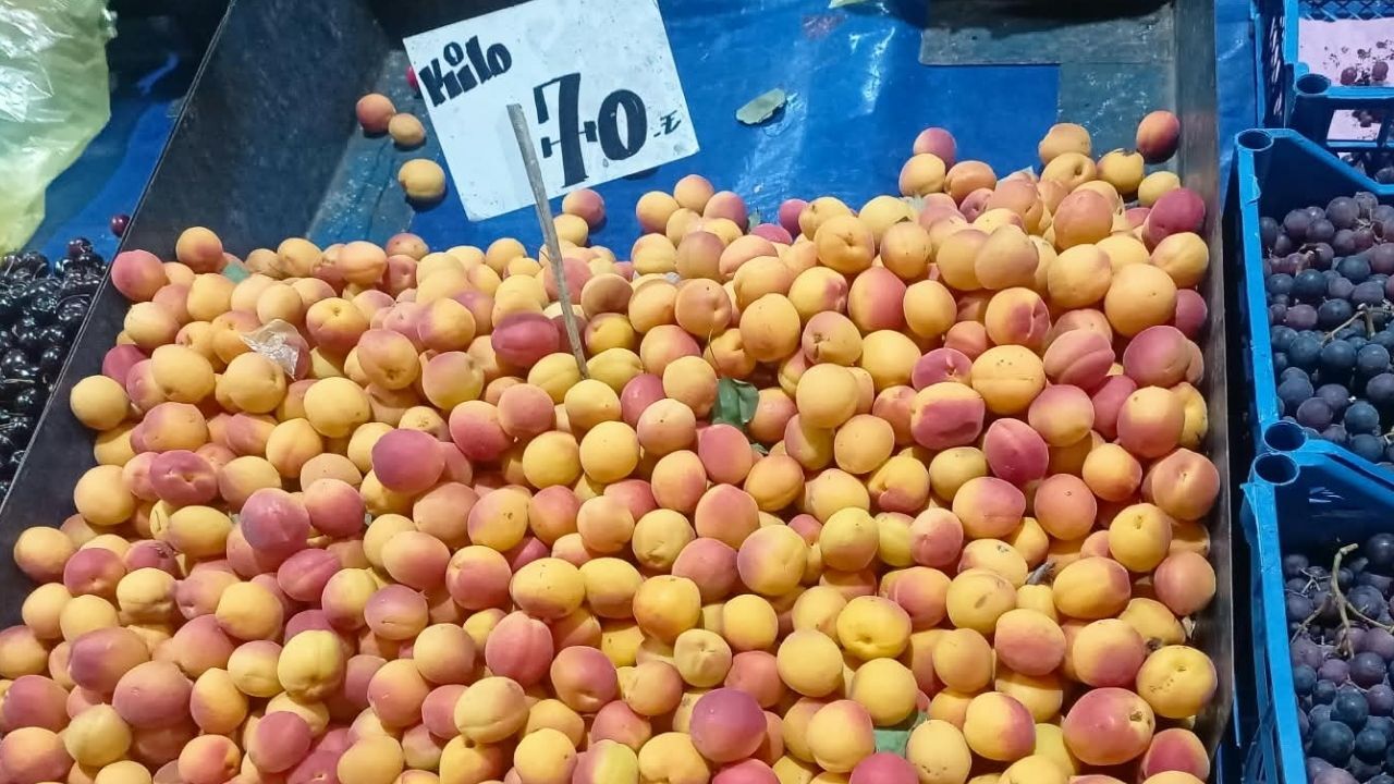 Kayısı Fiyatları 8 Eylül
