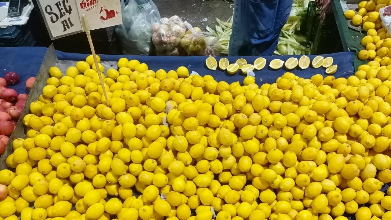 Limon Fiyatları 8 Eylül