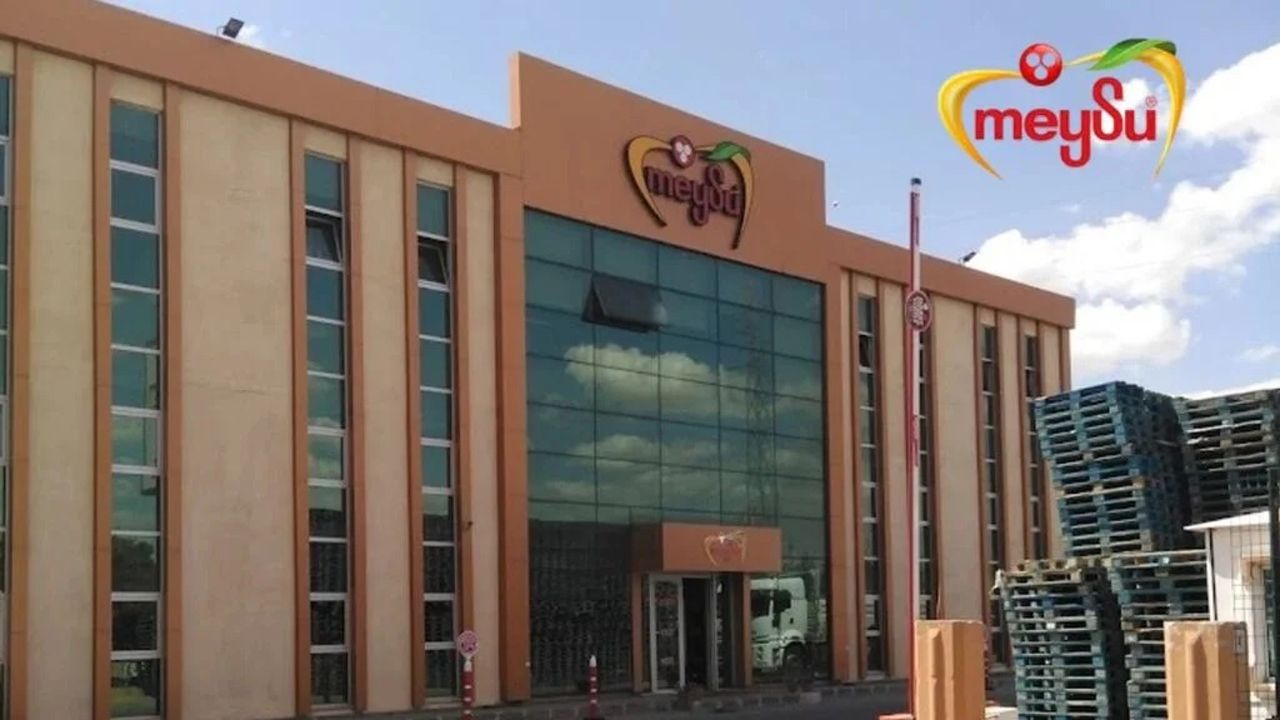 Meysu Borsada Hedefe 1 Ayda Koştu: 8,9 Milyon Hisseyi Kasaya Koydu