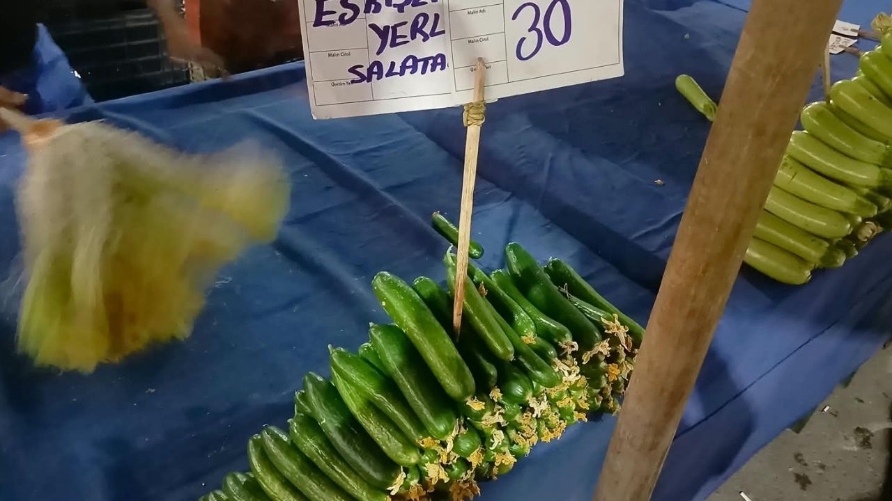 Salatalık Fiyatları 8 Eylül
