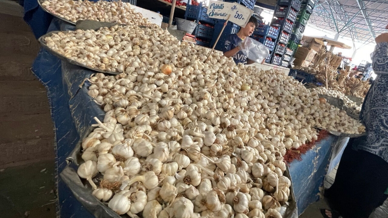 Sarımsak 4