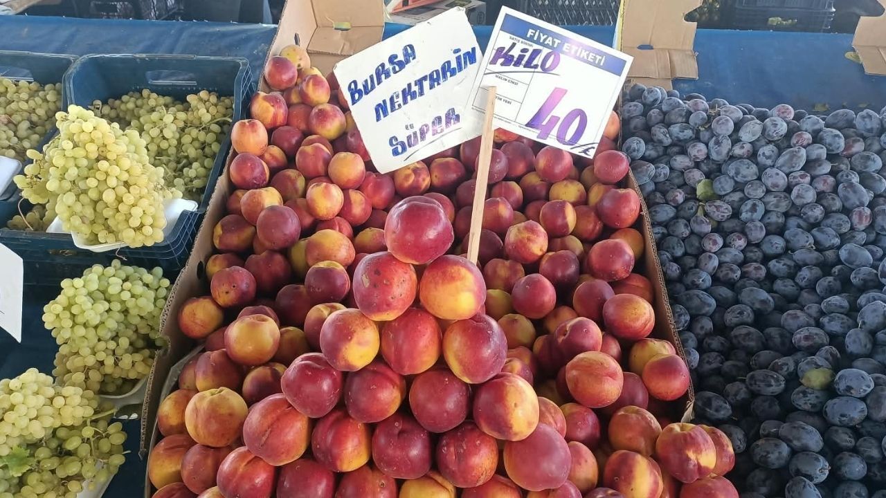 Ankara Karapürçek Pazar Nektarin
