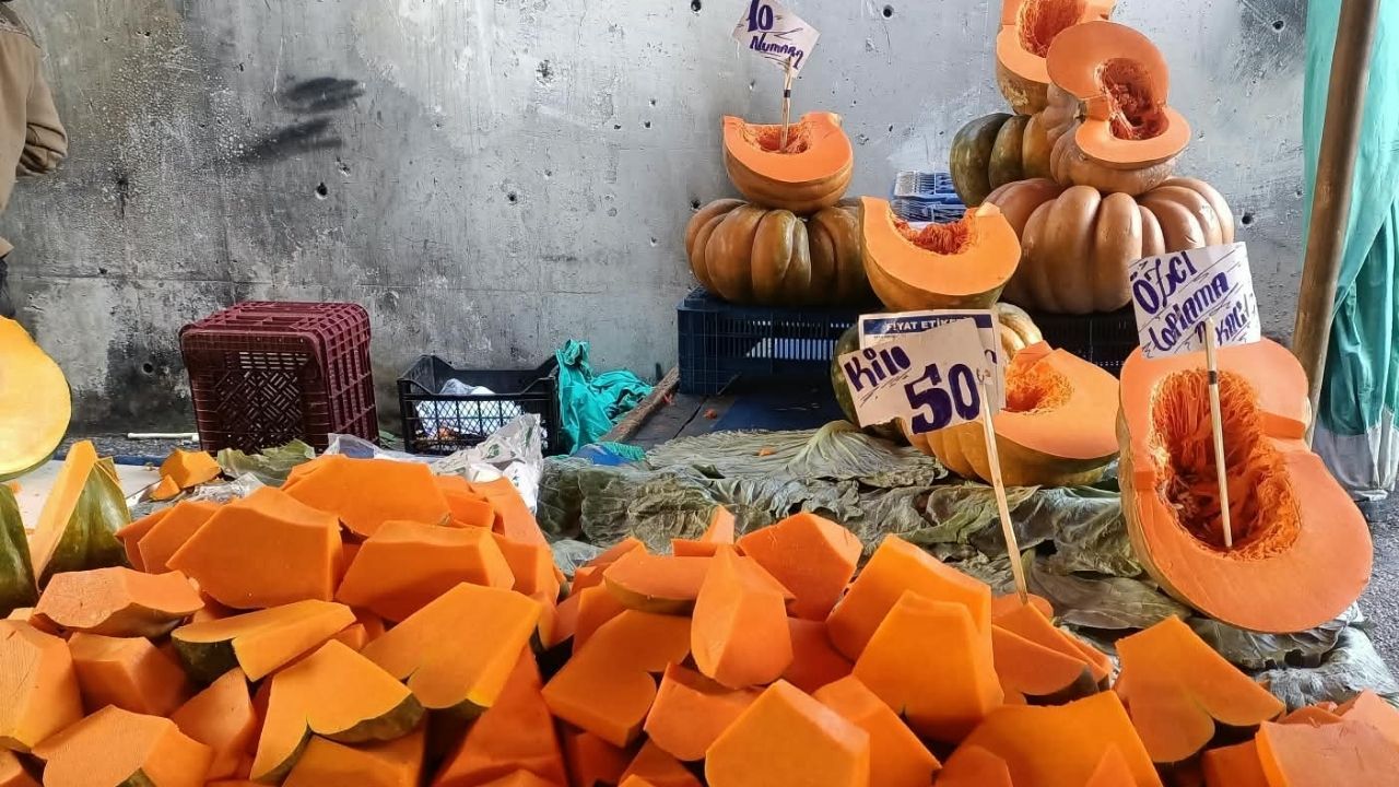 Balkabağı-1