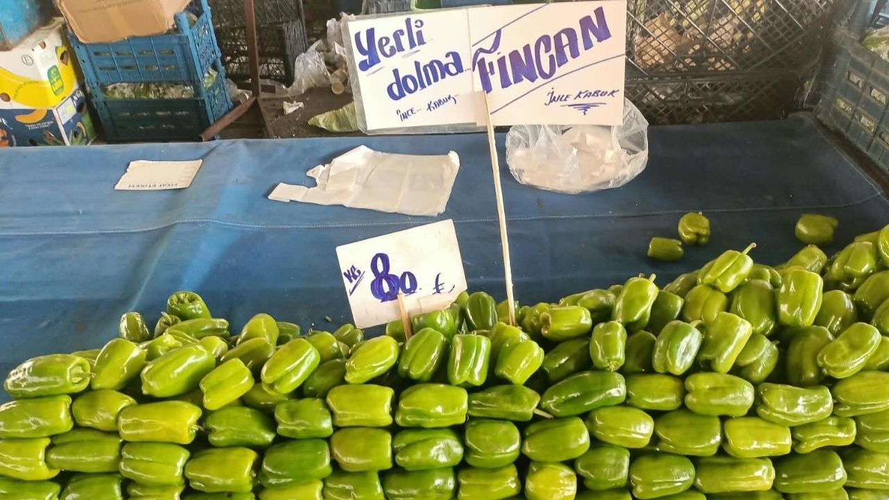 Dolmalık Biber-1