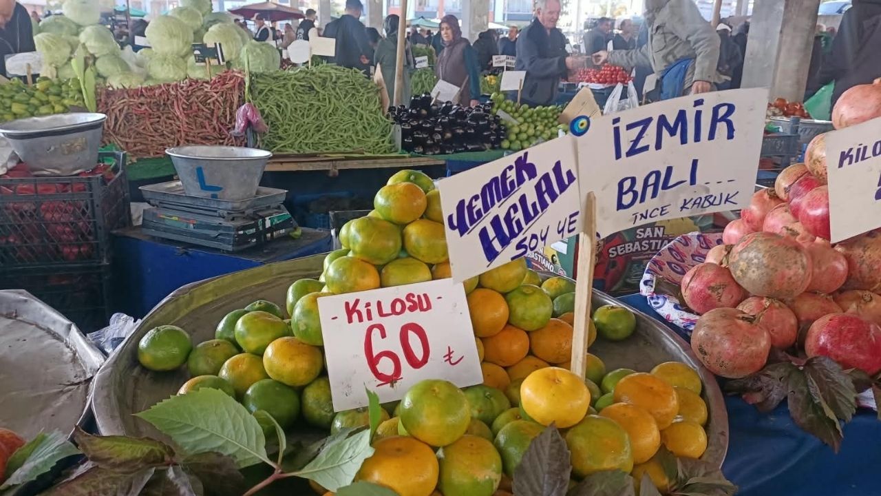 Mandalina-4