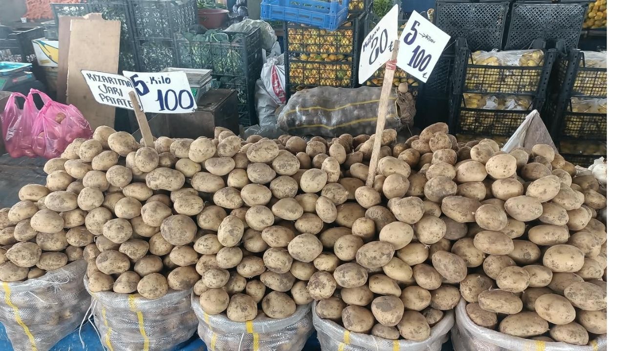 Patates (3)-1