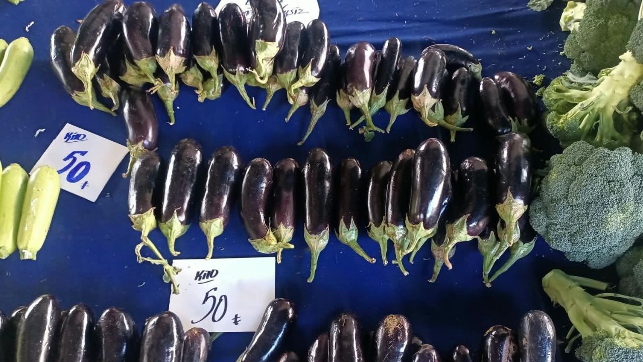 Patlıcan (3)