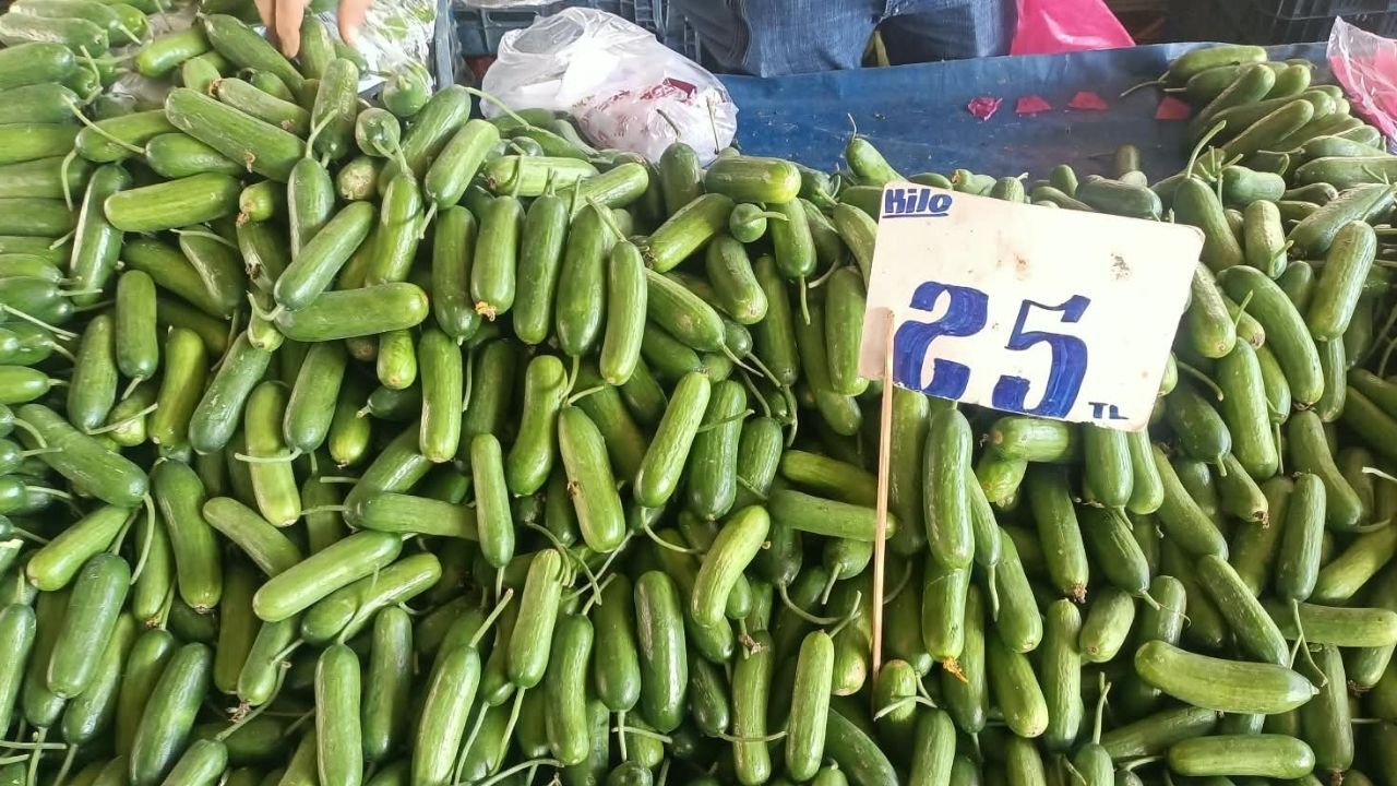 Salatalık (3)-1